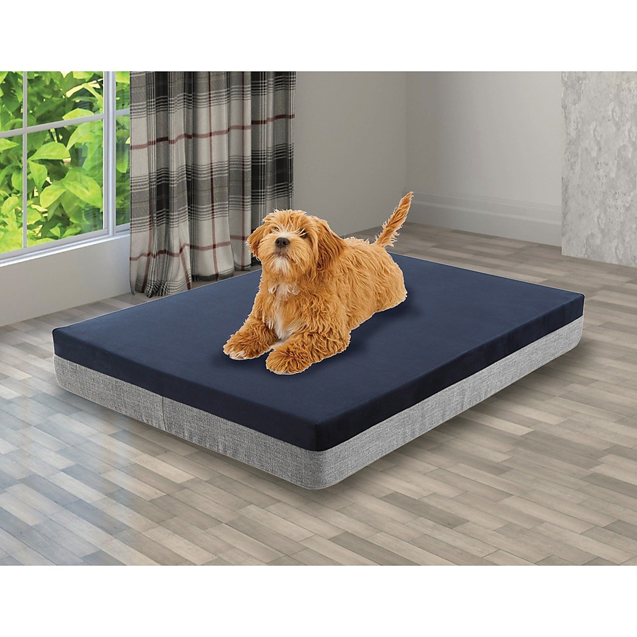 Memory Foam Orthopedic Large Dog Bed