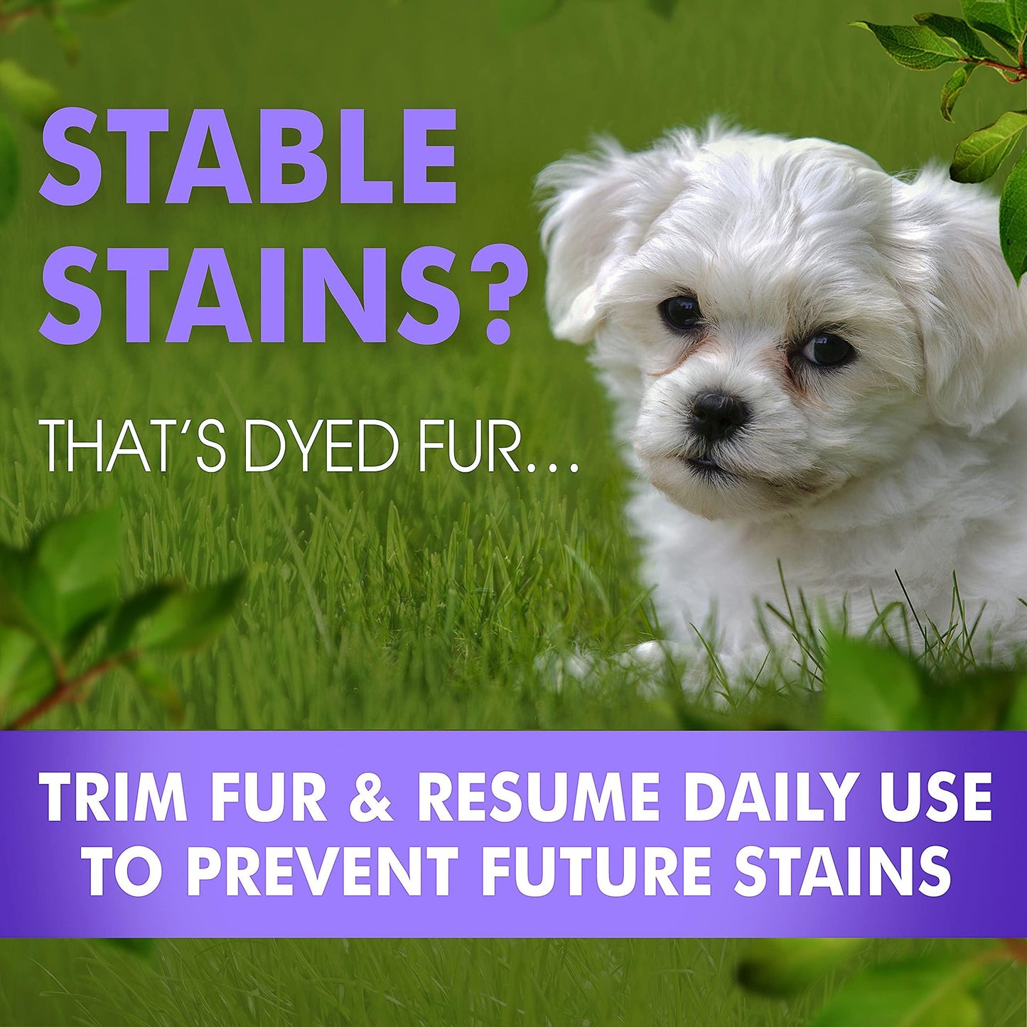 Arava Tear Stain Remover Eye Stain Cleaner for Dogs & Cats