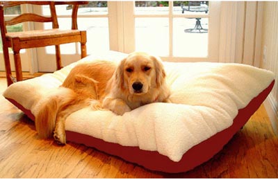 Majestic 42x60 Extra Large Rectangle Pet Bed- Red