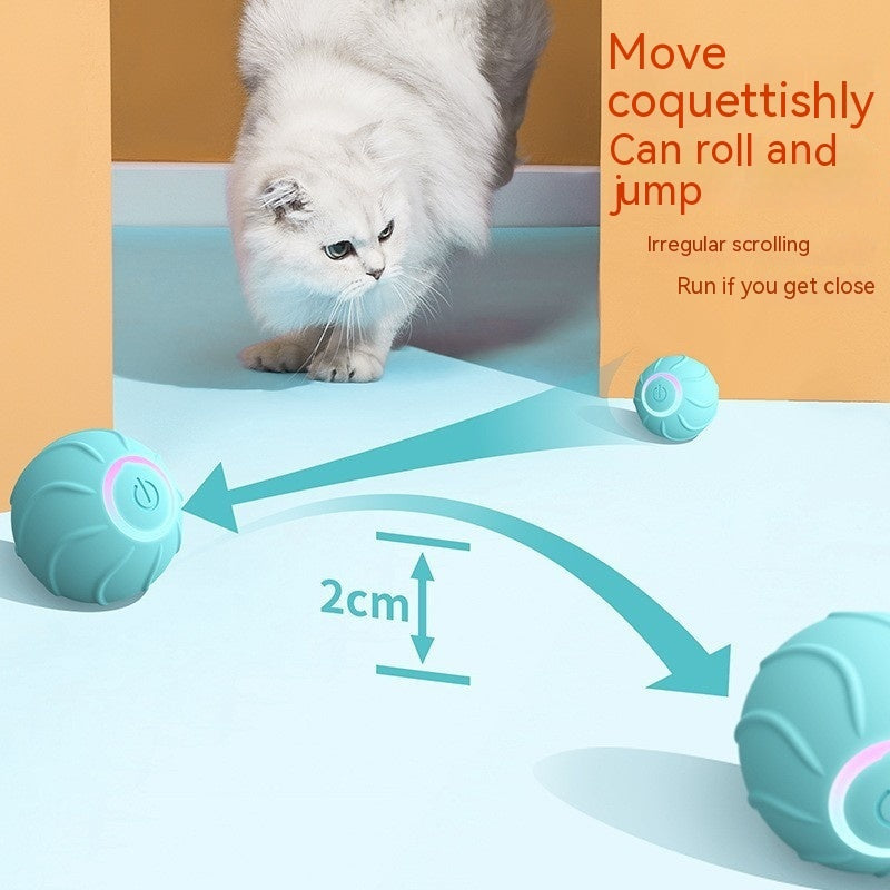 Cat Rolling Ball Toy