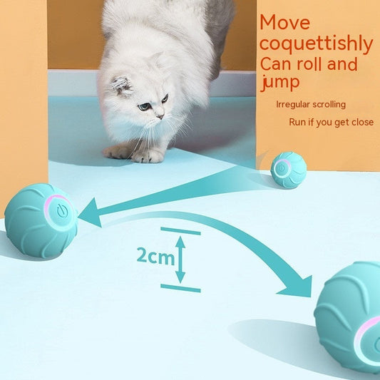 Cat Rolling Ball Toy