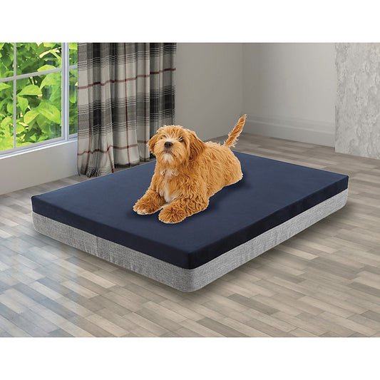 Memory Foam Orthopedic Large Dog Bed