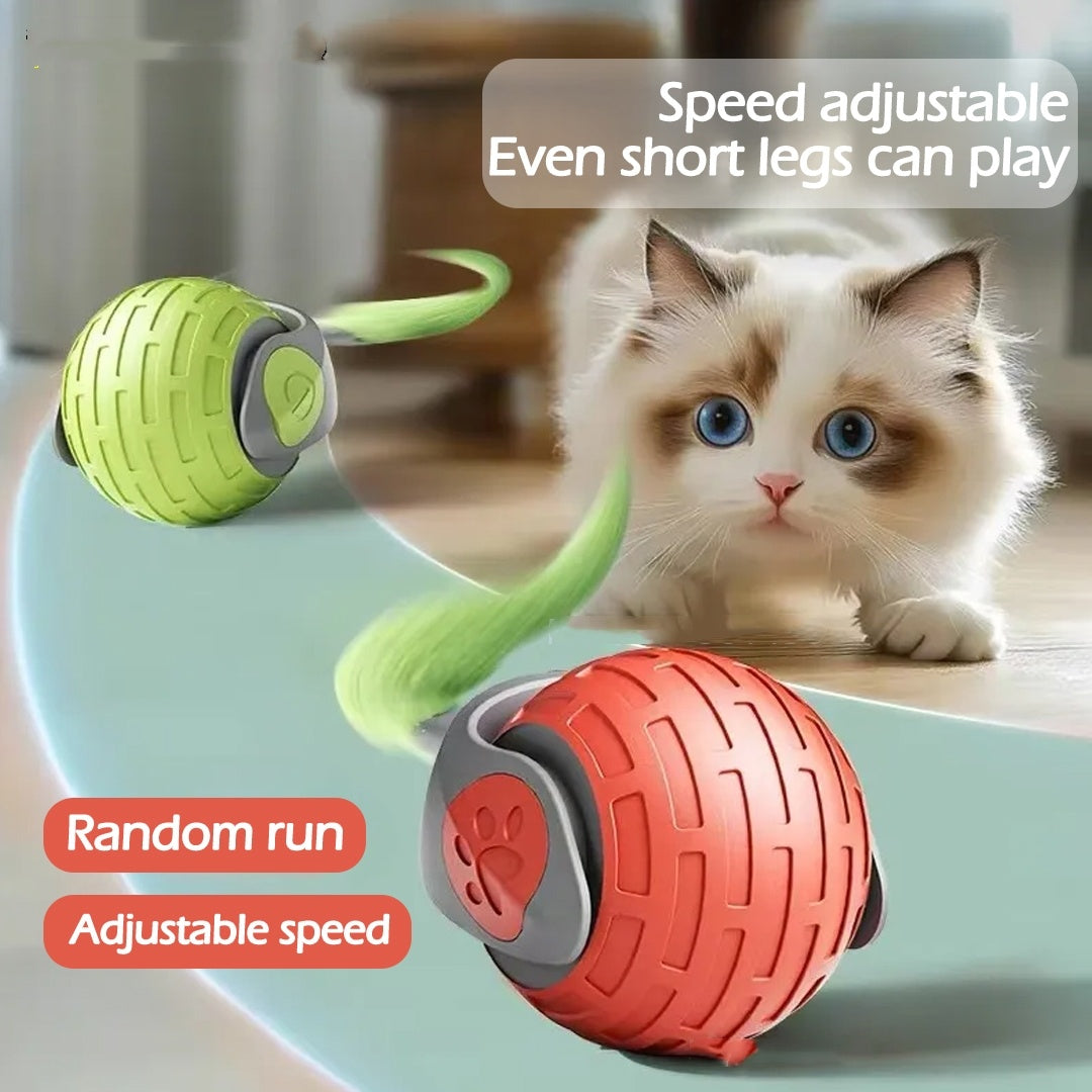 Interactive Cat Toy,  Auto Rolling Ball Toy For Cat