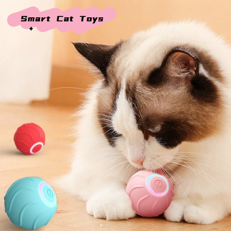 Cat Rolling Ball Toy