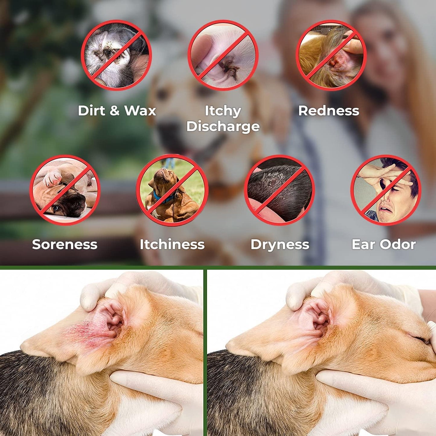 Pet Ear Cleaner Wipes by Arava