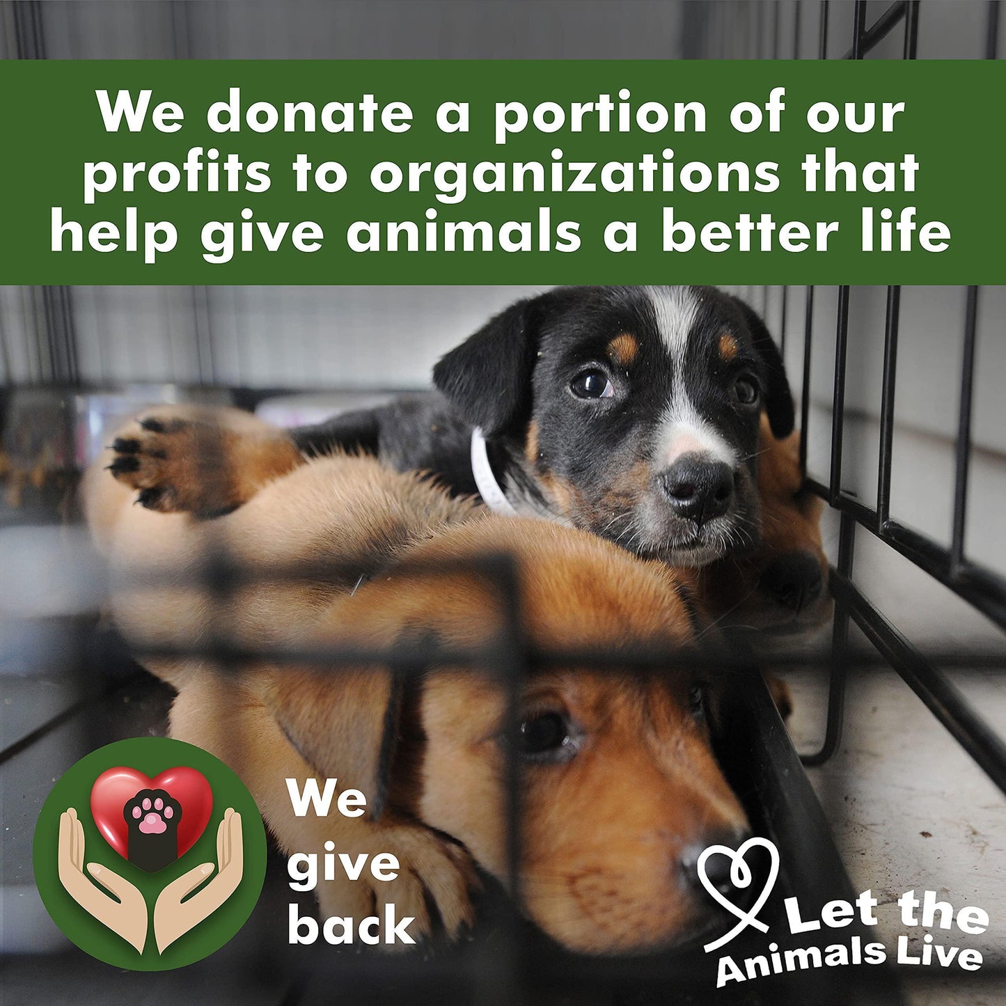 Pet Ear Cleaner Wipes by Arava